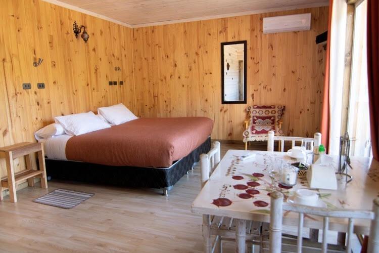 B&B Y Cabanas Cerro Castillo 비야 세로 카스티요 외부 사진